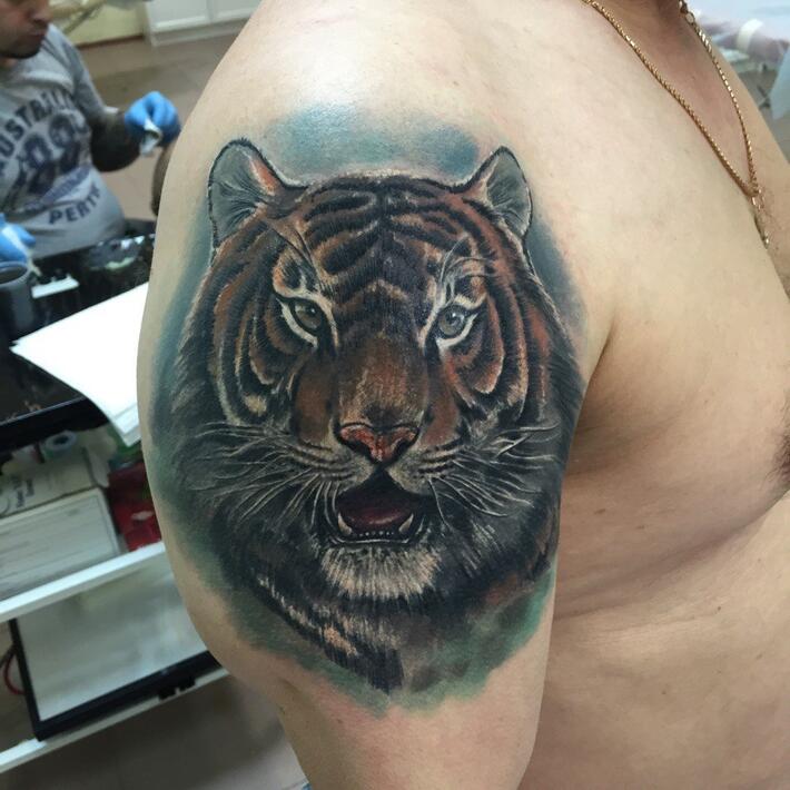Фото тату Тату тигры на плече