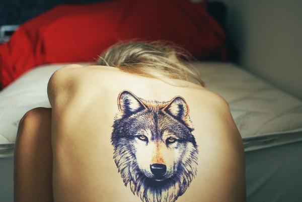 Фото тату Волк на спине у девушки