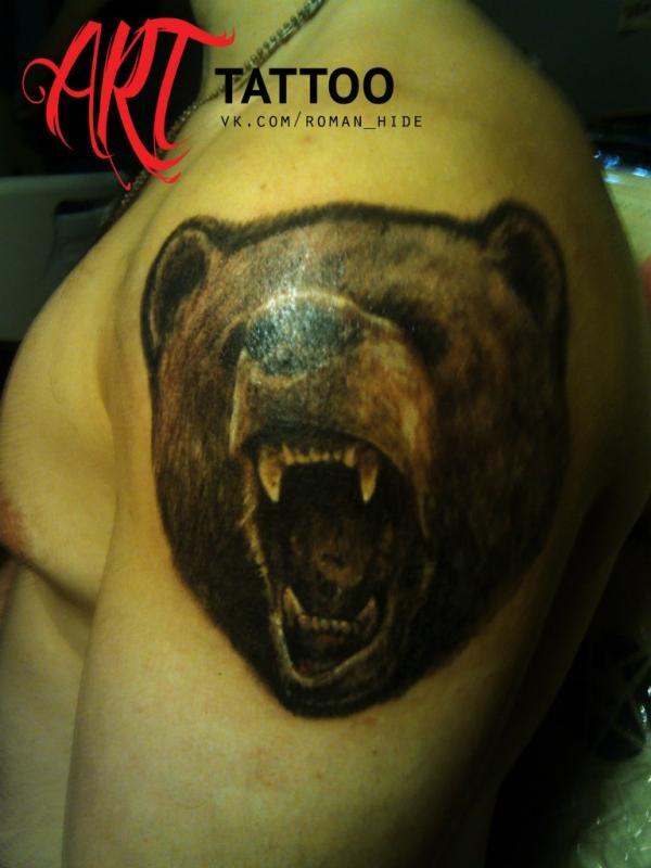 Фото тату Медведь рычащий на плече