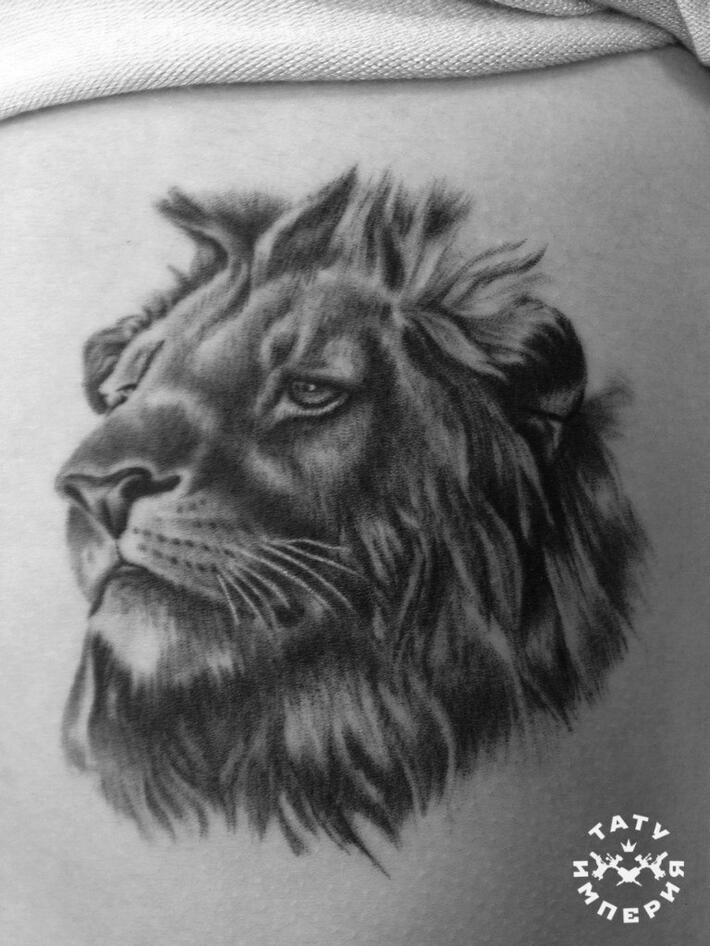 Фото тату Тату львы на спине