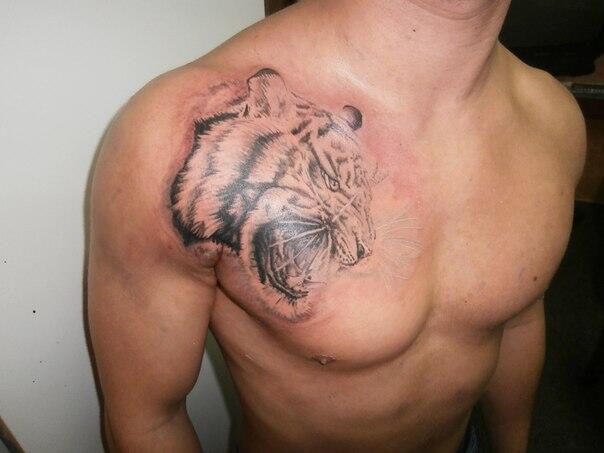 Фото тату Тату тигры на груди
