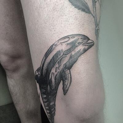 Tatu delfiny na noge