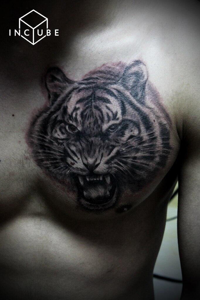 Фото тату Тату тигры на груди