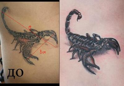 Znak zodiaka Skorpion
