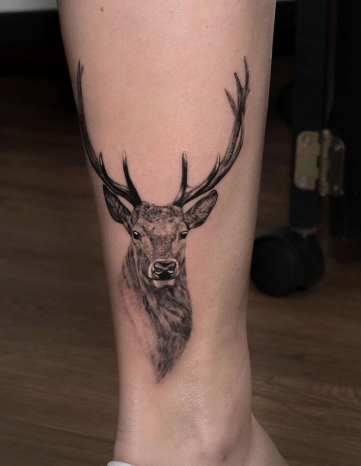Fresh stag tattoo by Dave Riley at Heartbreaker Studio, Portland, Australia  : r/tattoos