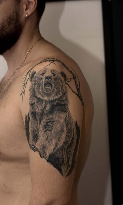 Тату медведи на плече