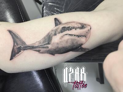 Тату акулы на руке