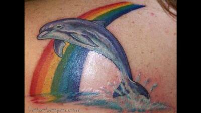 Дельфин на фоне радуги