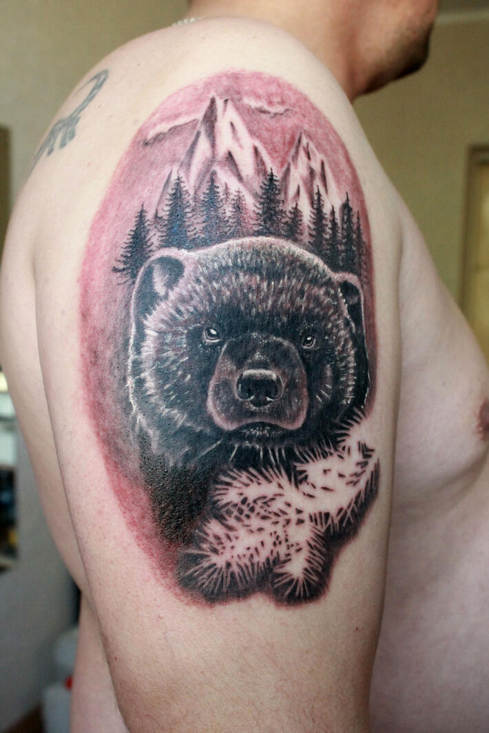 Фото тату Тату медведи на плече