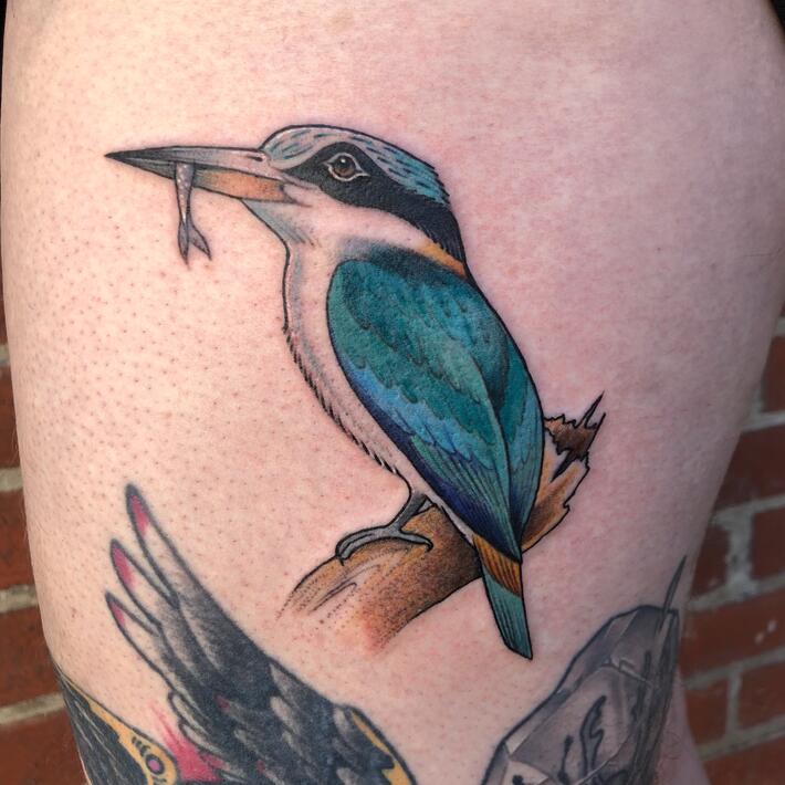 Kingfisher tattoo in progress - Tribal Body Art