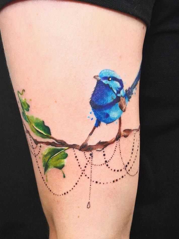 Blue wren tattoo | Bluebird tattoo, Red bird tattoos, Forearm tattoos