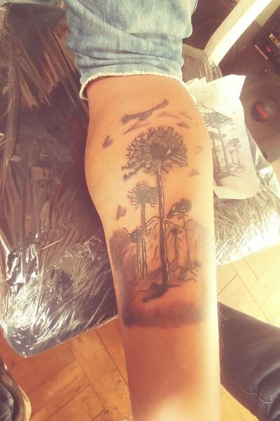 Ricardo da Maia - Tree Beneath the Northern Lights | Tatuagens, Tatuagem,  Tatoo