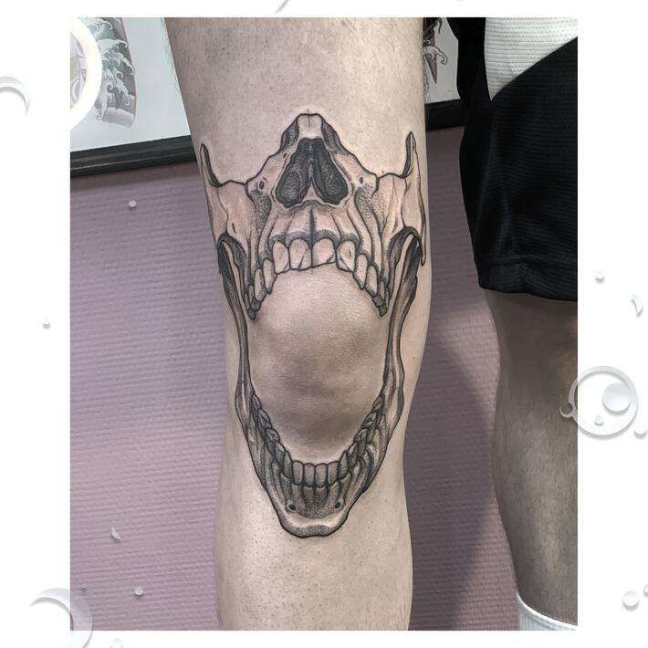 Shark Jaws knee tattoo by Mike instagramcomtattoohandsome  The detail  work in the teeth and jawbone is badass Have an idea for a tattoo   Call  By Neck Deep Tattoo  Facebook