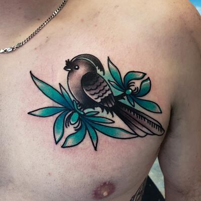 Discover 54 bayside bird tattoo super hot  incdgdbentre