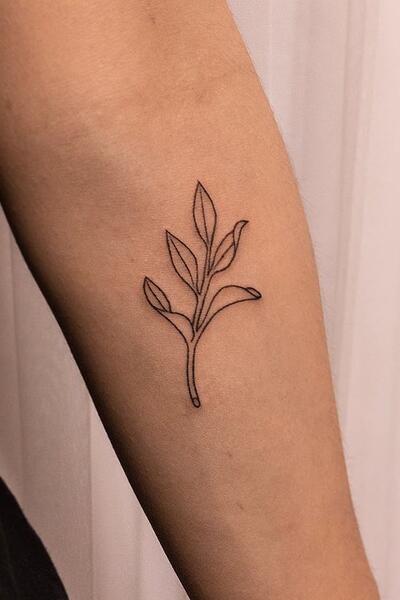 Sage! . . . . . . . . . . #tattoos #tatted #sagetattoo #sage #jerseycity  #inked #girlswithtattoos #inkedgirls #dotwork #engrav… | Tattoos, Ink tattoo,  Flower tattoo