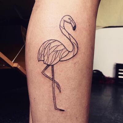 Flamingo Tattoo Tropical Animal Bird Summer Nature Drawing Gradient Color  Isolated Ina White Background Stock Illustration - Download Image Now -  iStock
