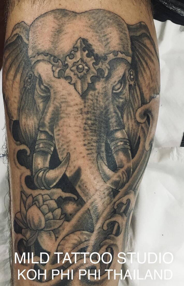 Фото тату Elephant tattoo bamboo tattoo 