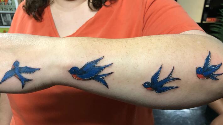 Bluebird tattoos  what do they mean Tattoos Designs  Symbols  tattoo  meanings