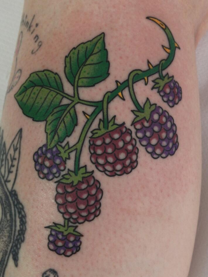 blackberry tattoo ideasTikTok Search