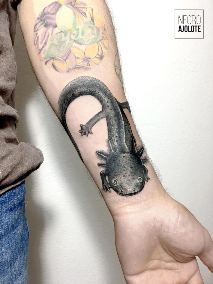 Share 167+ mole animal tattoo