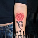 TattooGen 3