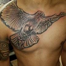 INKjection Tattoo & Body Piercing 1