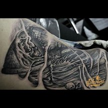 Falconeri tattoo 1